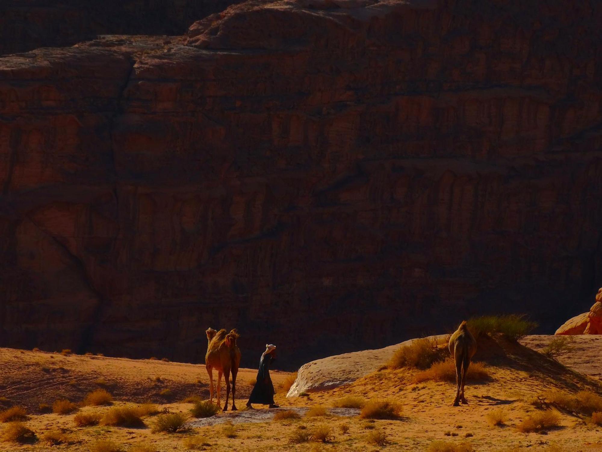 Wadi Rum View Camp Exterior photo